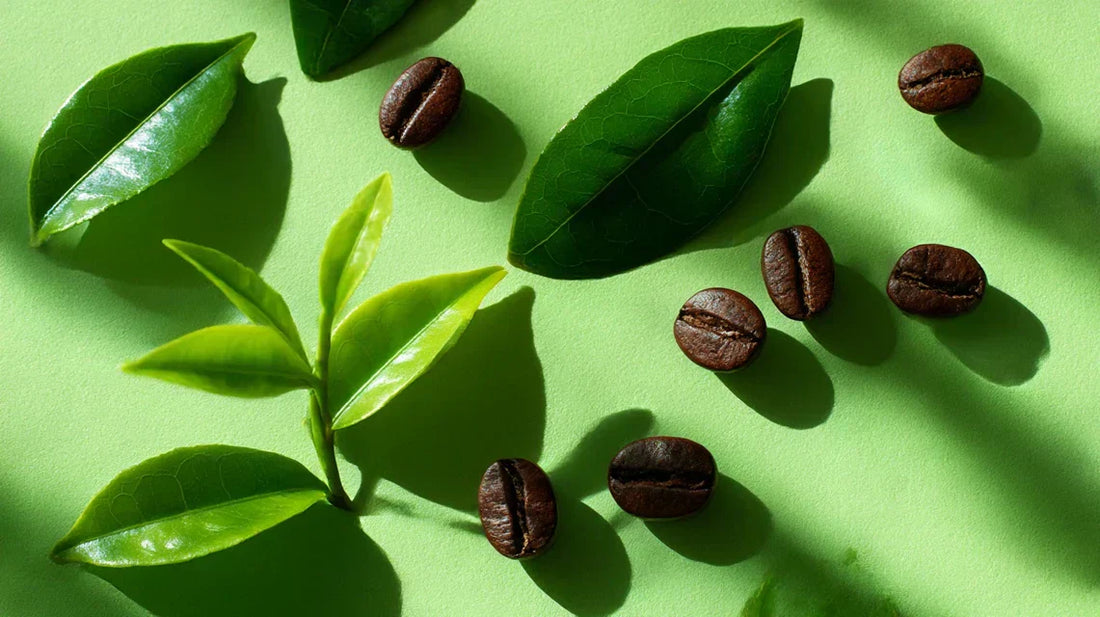 Warum du L-Theanin mit Koffein kombinieren solltest