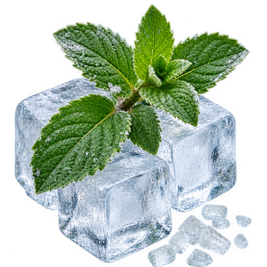 Cool Mint: Pfefferminze und Menthol